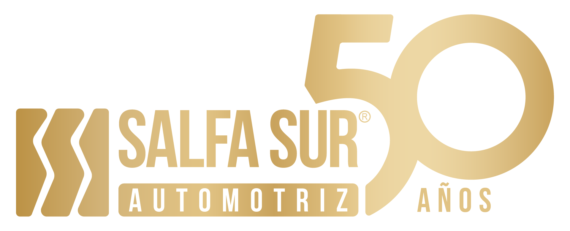 Salfa Sur — 50 años